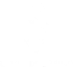 Città di Torino