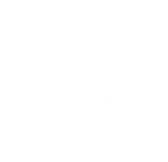 Fiesca Verd